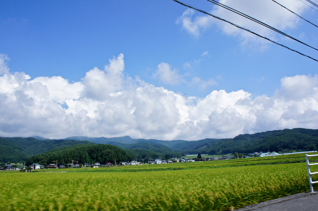 DSC08824