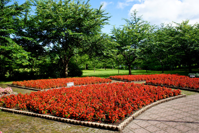 20170723_15-38-33_DSC08026