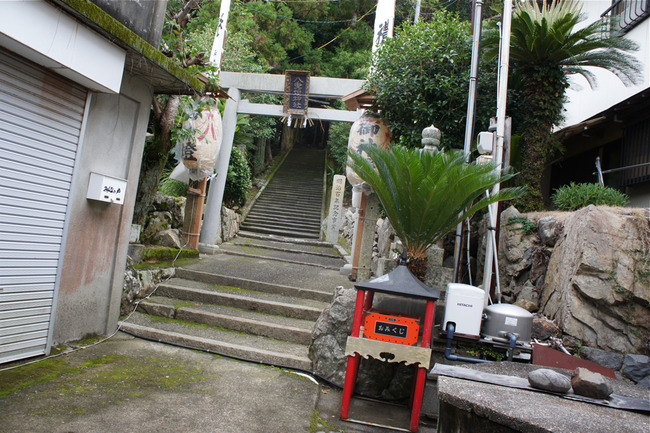 DSC08548