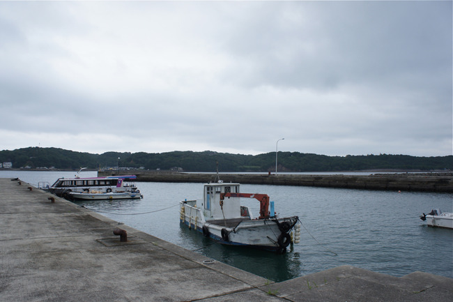 DSC08561