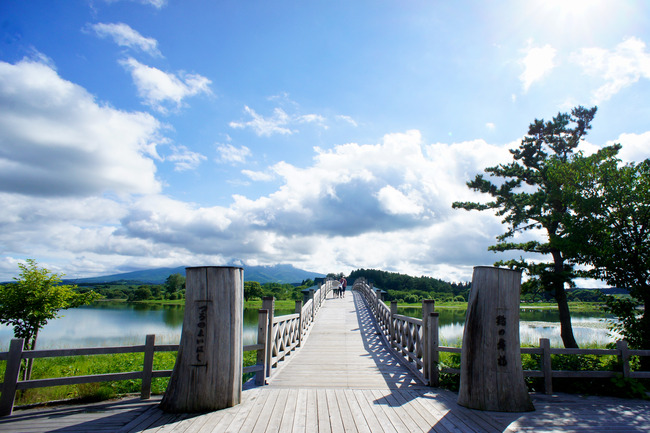 20170723_15-23-41_DSC07936