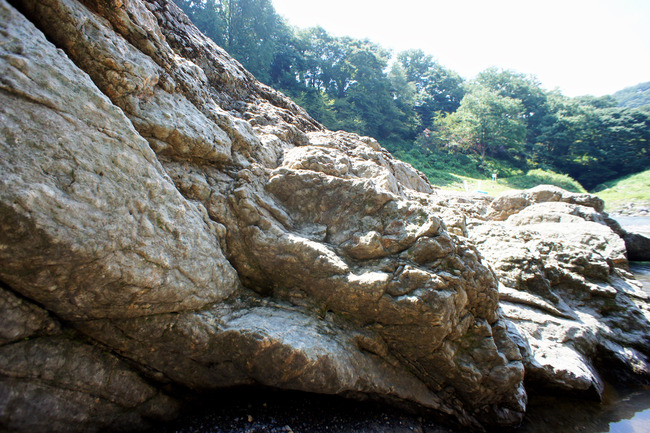 20170826_10-13-06_DSC01925