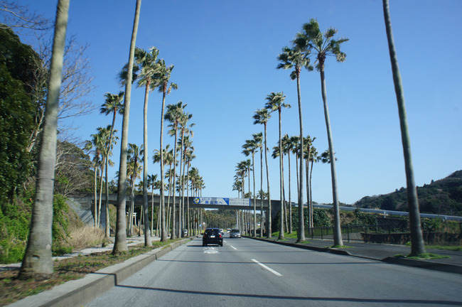 DSC01374