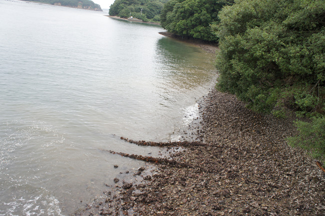 DSC08507