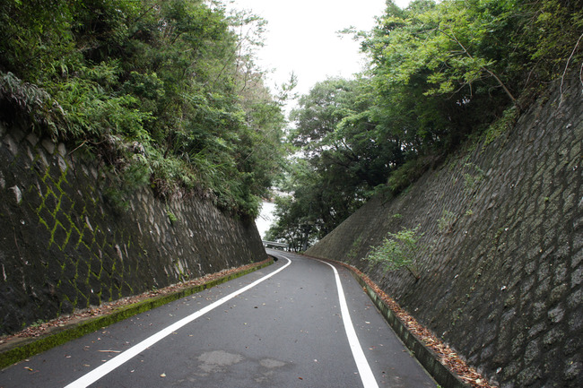 DSC08521