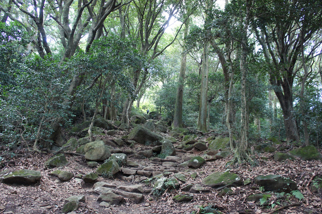 DSC00200