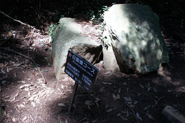 DSC00151