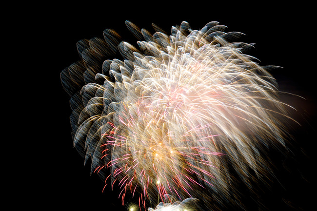 ������ֲ����2019�Ȥ�