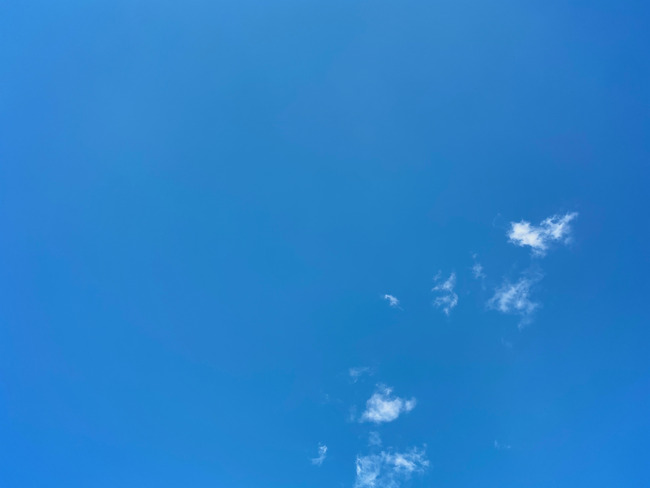 �հ��֤��벼����Ȥ�