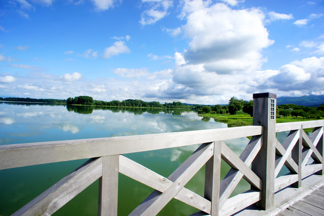 20170723_15-27-50_DSC07959