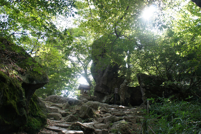 DSC00255