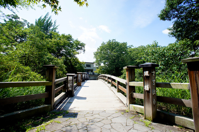 20170826_10-23-54_DSC01984