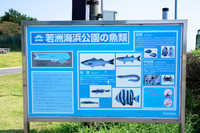 DSC09831 - バージョン 2