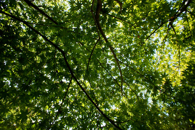 20170826_10-21-22_DSC01961