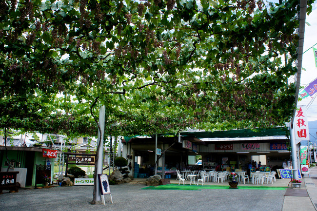 20170826_11-56-42_DSC02084