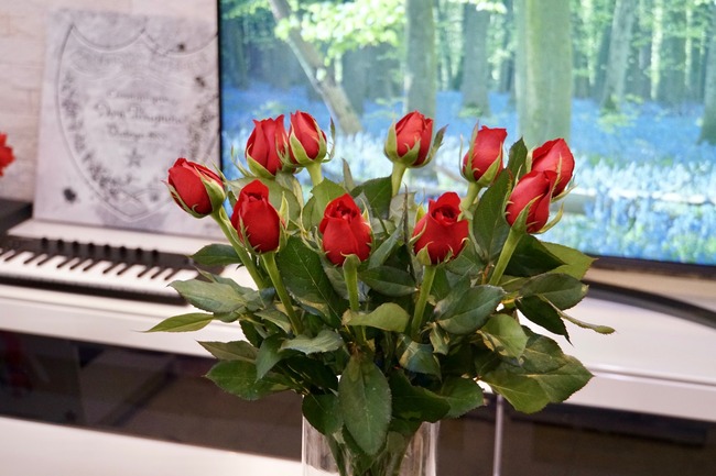 with�����ʽ��֤Ȥ�