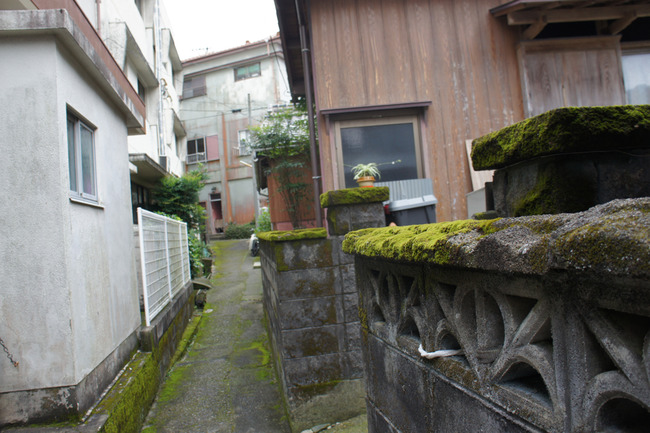 DSC08550