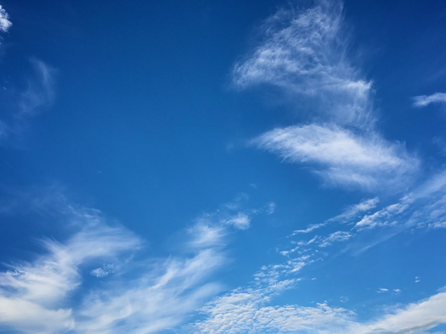 20170826_17-16-51_IMG_0574