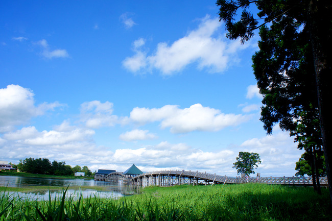 20170723_14-45-45_DSC07656