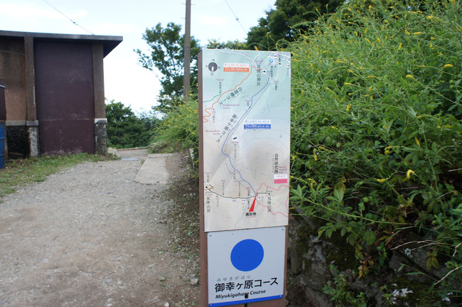 DSC00387