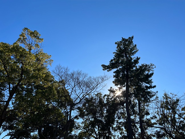 NEWYEAR 2022 �Ȥ�