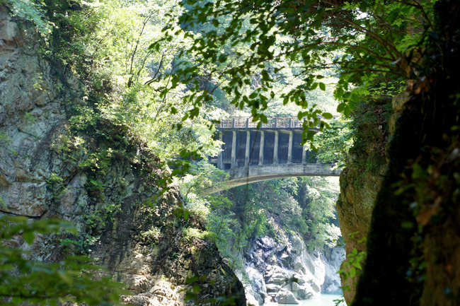 20170826_10-03-50_DSC01883