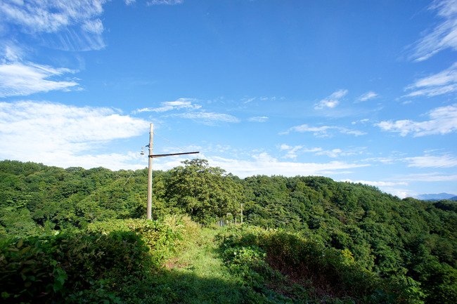 20170826_16-22-21_DSC02457