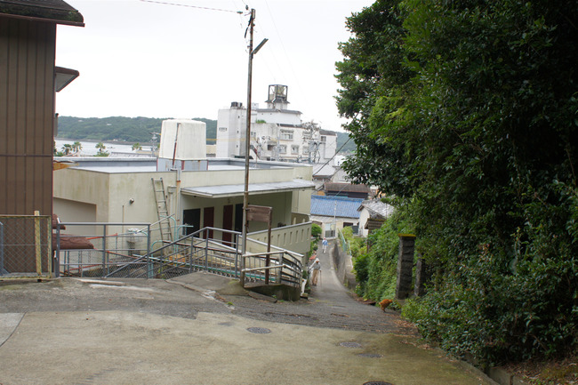 DSC08541