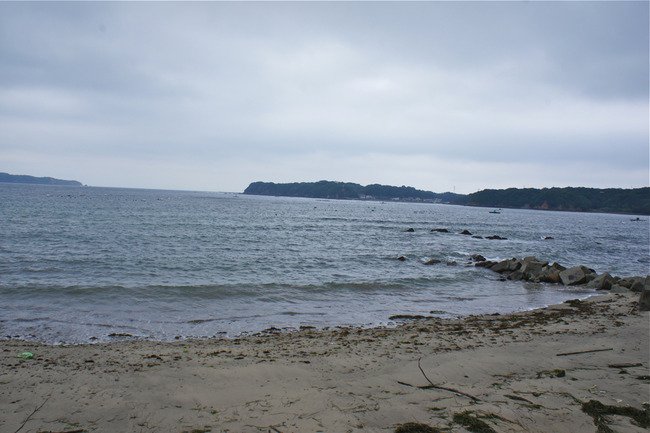 DSC08398