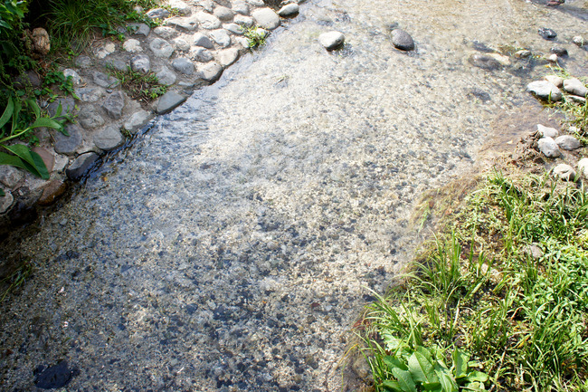 20170826_15-12-45_DSC02243