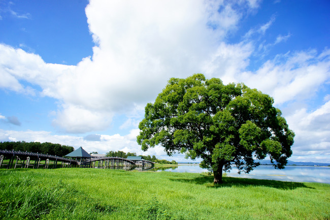 20170723_15-32-07_DSC07982