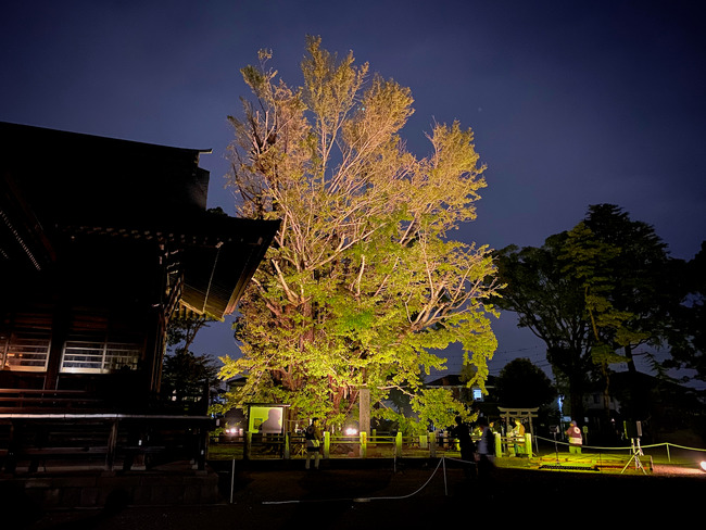 ��ΤΤ��������ɤȤ�