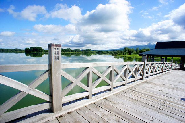 20170723_15-25-44_DSC07949