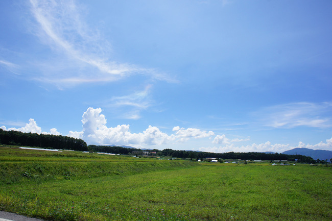 DSC03118