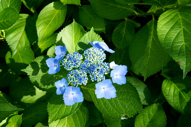 20170723_15-35-15_DSC08003