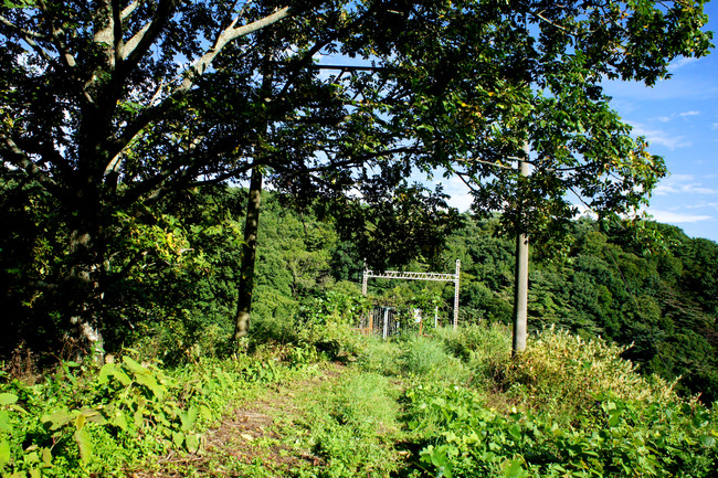 20170826_16-23-10_DSC02463