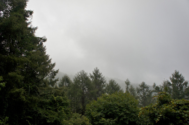 DSC08960