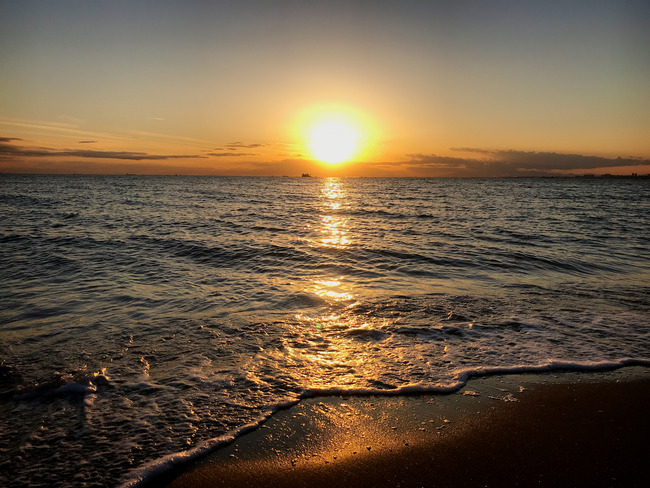 2019�饵�󥻥åȴ��Ȥ�