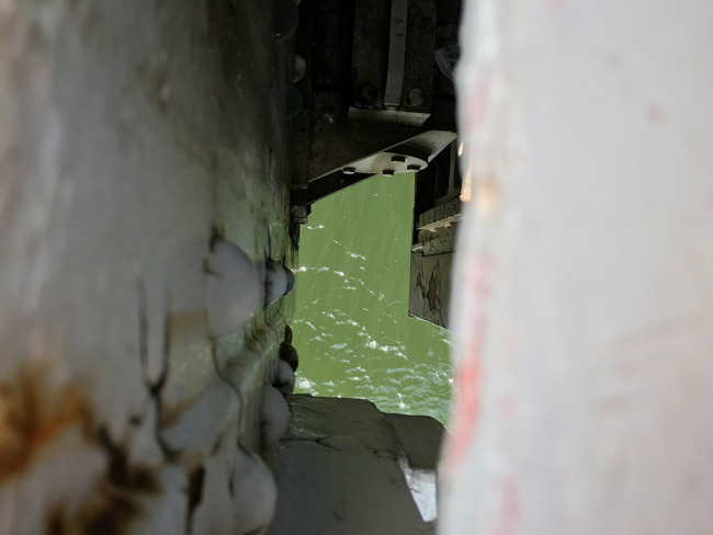 20180521_14-01-17_IMG_6714