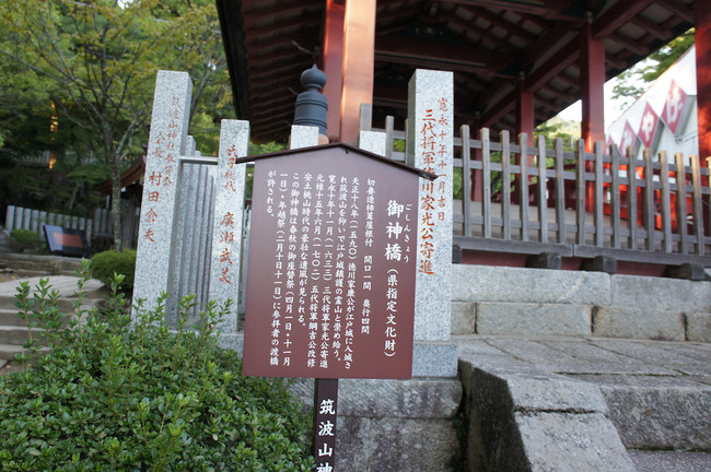 DSC00445
