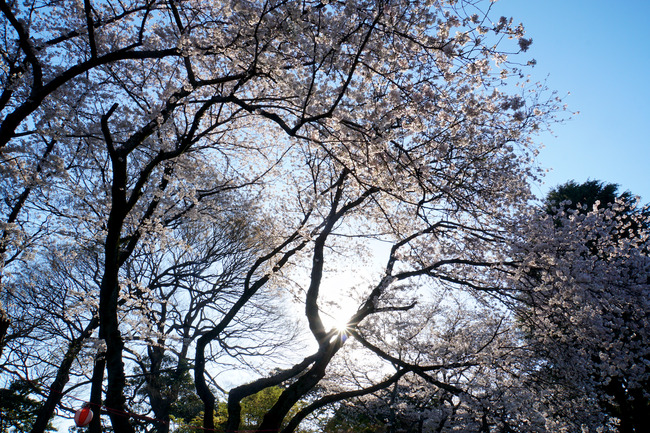 �դΥ�ե쥯�����Ȥ�