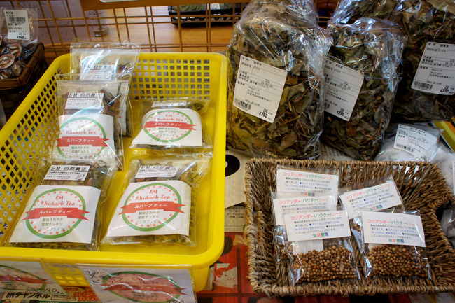 20170826_15-30-07_DSC02270