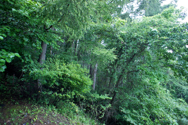 DSC08910