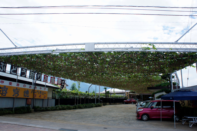 20170826_11-56-23_DSC02079