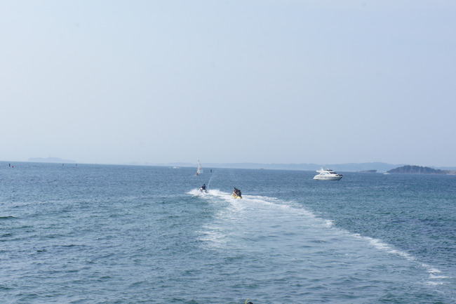 DSC00481