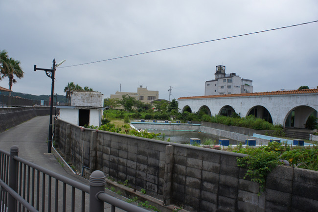 DSC08384