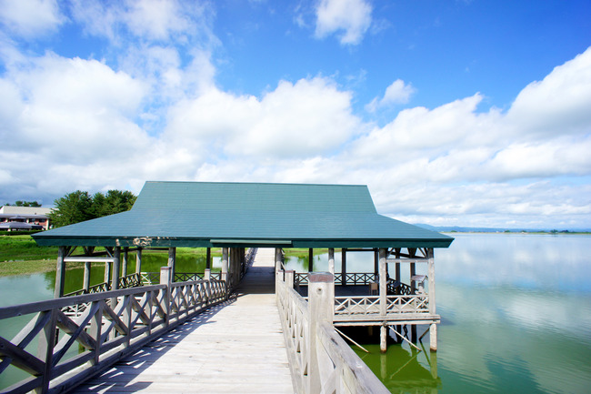 20170723_14-59-04_DSC07833