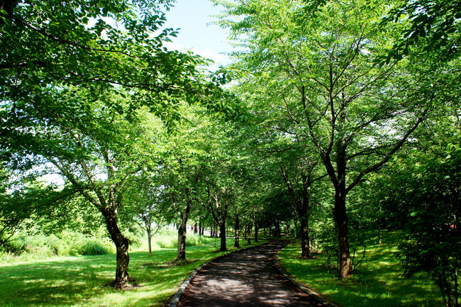 20170723_14-43-49_DSC07649