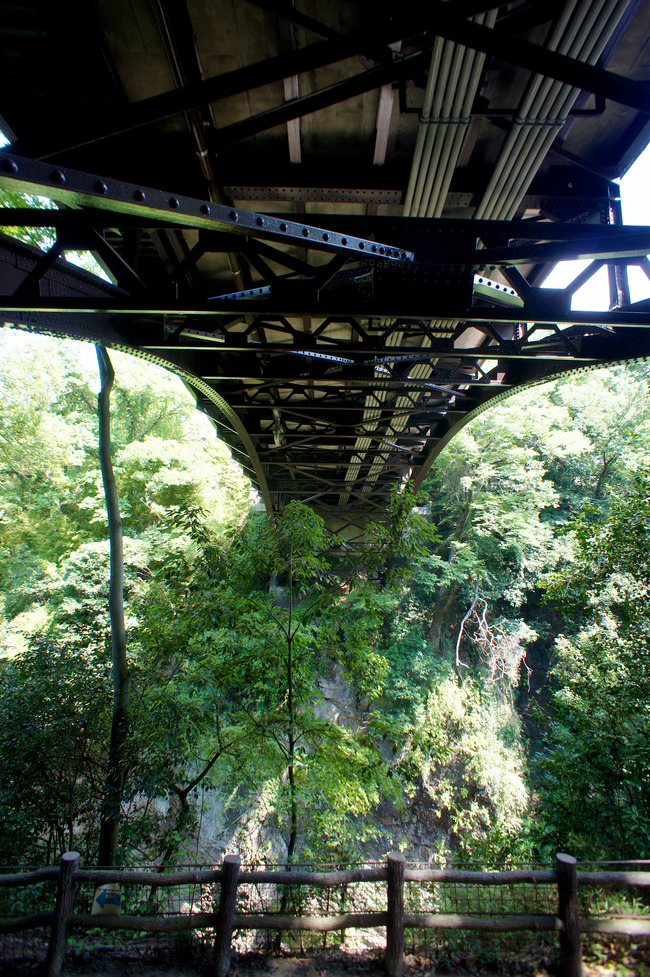 20170826_09-58-59_DSC01848