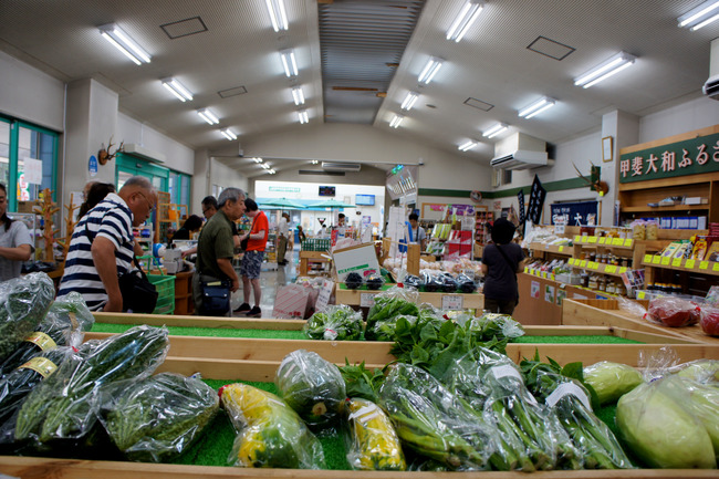 20170826_11-25-04_DSC02066